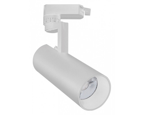 Светильник на штанге Escada 20029 20029TRA/01LED SWH