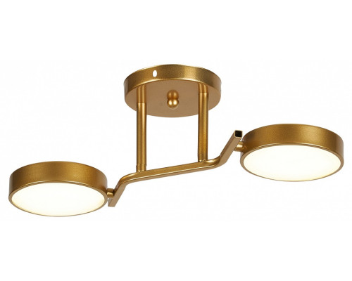 Светильник на штанге Escada Starlight 10273/2LED Светильник на штанге Escada Starlight 10273/2LED