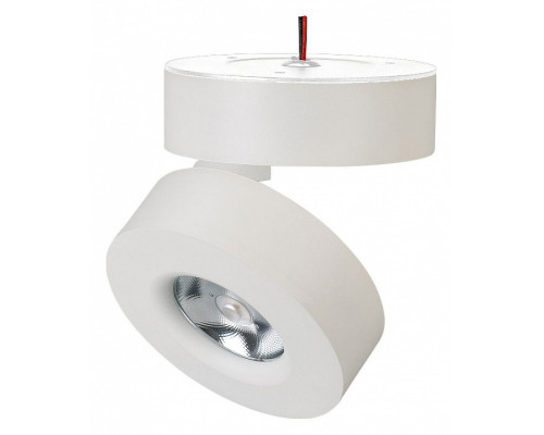 Светильник на штанге Arlight MONA 025440(1) Светильник на штанге Arlight MONA 025440(1)