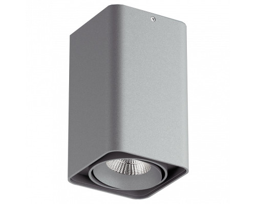 Накладной светильник Lightstar Monocco 52139 Накладной светильник Lightstar Monocco 52139