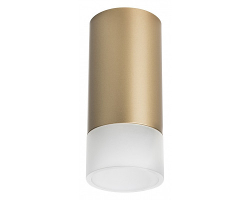 Накладной светильник Lightstar Rullo R44031 Накладной светильник Lightstar Rullo R44031