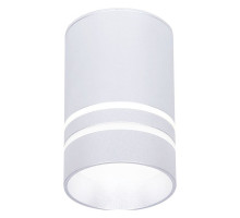 Накладной светильник Ambrella Light TN TN236