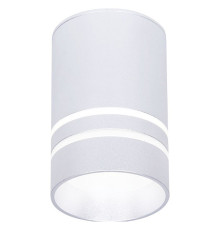 Накладной светильник Ambrella Light TN TN236