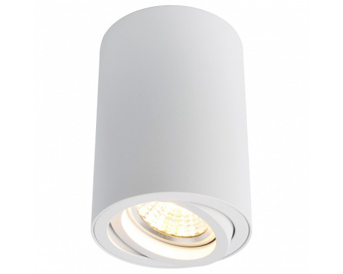 Накладной светильник Arte Lamp Sentry A1560PL-1WH Накладной светильник Arte Lamp Sentry A1560PL-1WH
