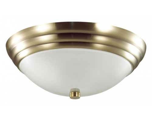 Накладной светильник Lumion Kayla 5262/2C Накладной светильник Lumion Kayla 5262/2C