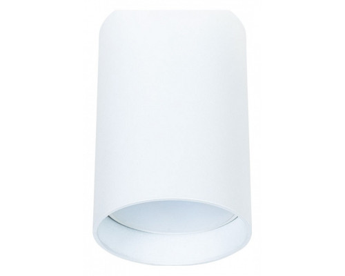 Накладной светильник Arte Lamp Beid A1517PL-1WH Накладной светильник Arte Lamp Beid A1517PL-1WH