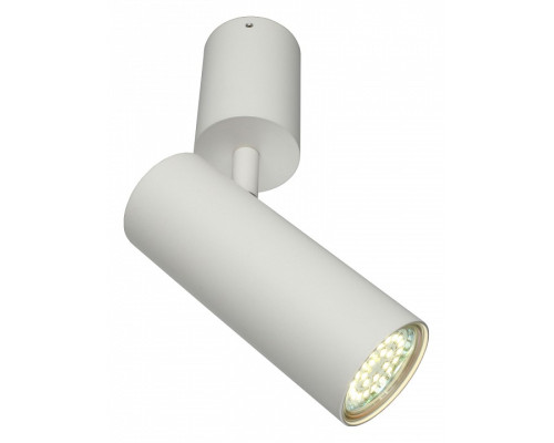 Спот Aployt Berenis APL.007.02.01 Спот Aployt Berenis APL.007.02.01