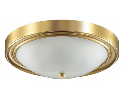 Накладной светильник Lumion Nina 5259/3C Накладной светильник Lumion Nina 5259/3C
