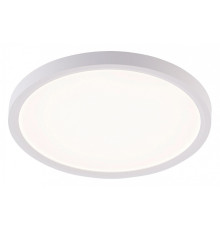 Накладной светильник Natali Kovaltseva PLAIN LED LAMPS 81113/2C