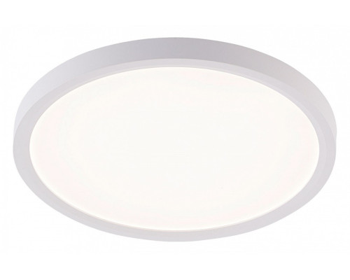 Накладной светильник Natali Kovaltseva PLAIN LED LAMPS 81113/2C Накладной светильник Natali Kovaltseva PLAIN LED LAMPS 81113/2C