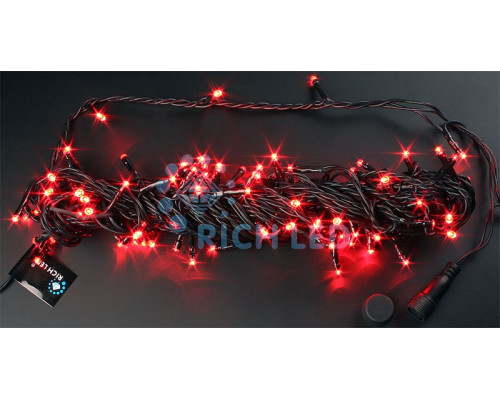 Гирлянда Нить [10 м] RL-S10C-24V-B/R