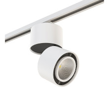 Накладной светильник Lightstar Forte Muro A1T214816