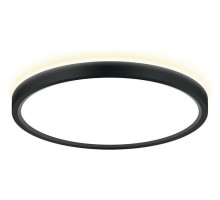 Накладной светильник Citilux NORMA CL748241