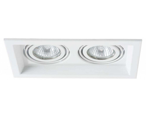 Встраиваемый светильник Arte Lamp Canis A6661PL-2WH Встраиваемый светильник Arte Lamp Canis A6661PL-2WH