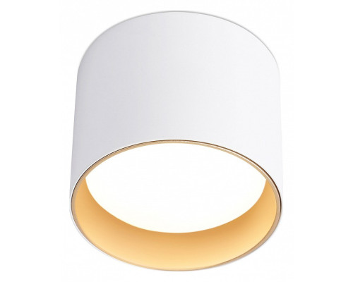 Накладной светильник Ambrella Light TN TN5304