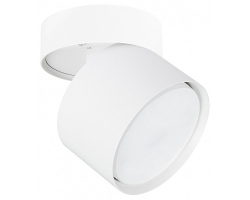Светильник на штанге Arte Lamp Intercrus A5549PL-1WH Светильник на штанге Arte Lamp Intercrus A5549PL-1WH