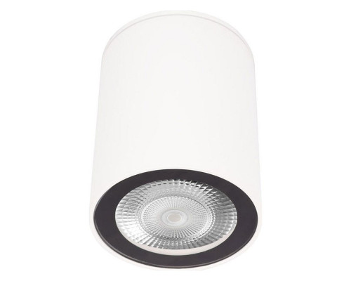 Накладной светильник Loft it Rush 10344 White Накладной светильник Loft it Rush 10344 White