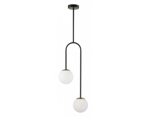 Светильник на штанге Lumion Moderni 6500/2C Светильник на штанге Lumion Moderni 6500/2C