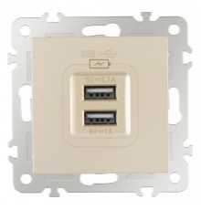 Розетка USB, без рамки Arte Milano am-206 206.46-1.shampan