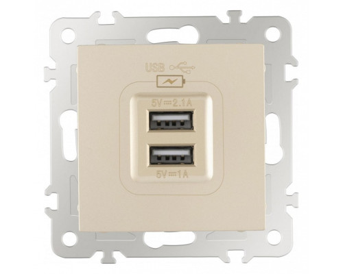 Розетка USB, без рамки Arte Milano am-206 206.46-1.shampan Розетка USB, без рамки Arte Milano am-206 206.46-1.shampan
