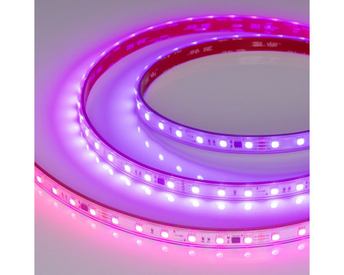 Лента светодиодная Arlight SPI 039181 Лента светодиодная Arlight SPI 039181
