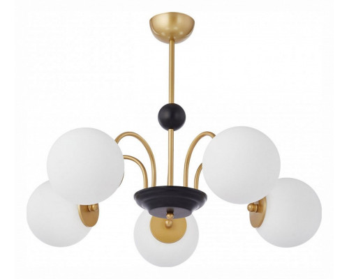 Люстра на штанге Arte Milano AM-Napoli 312066/D700/5 BS/BK Люстра на штанге Arte Milano AM-Napoli 312066/D700/5 BS/BK