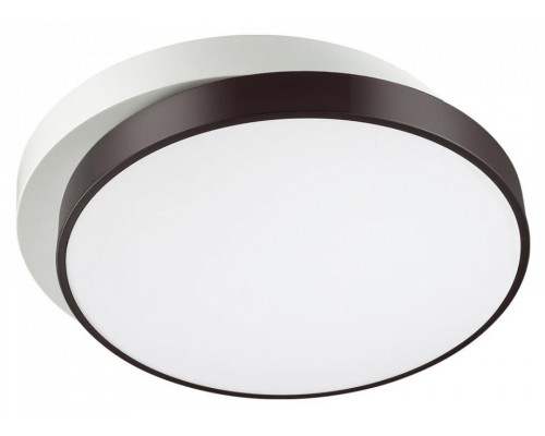 Накладной светильник Lumion Agatha 4509/72CL Накладной светильник Lumion Agatha 4509/72CL