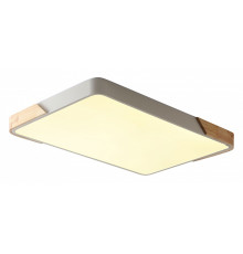Накладной светильник Zortes Alberro ZRS.01233.60