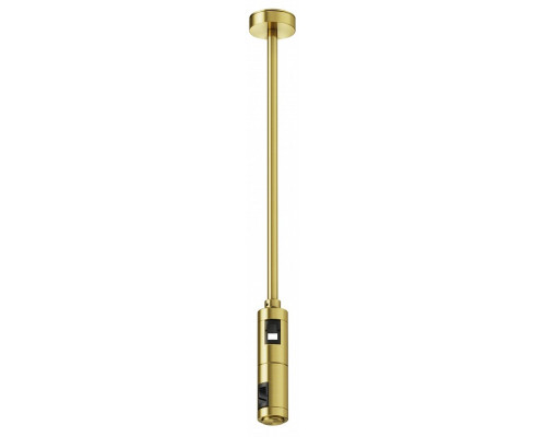 Основание на штанге Maytoni Accessories for tracks Flarity TRA158C-D1-BS Основание на штанге Maytoni Accessories for tracks Flarity TRA158C-D1-BS