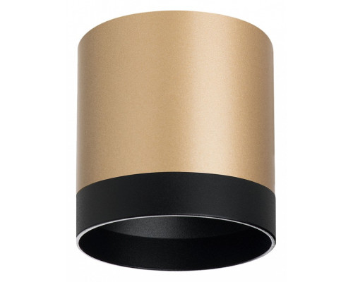 Накладной светильник Lightstar Rullo R34903487 Накладной светильник Lightstar Rullo R34903487