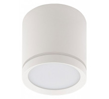 Накладной светильник Denkirs DK401 DK4013-WH