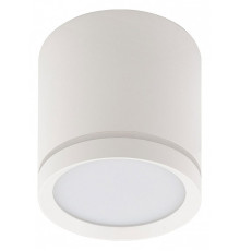Накладной светильник Denkirs DK401 DK4013-WH