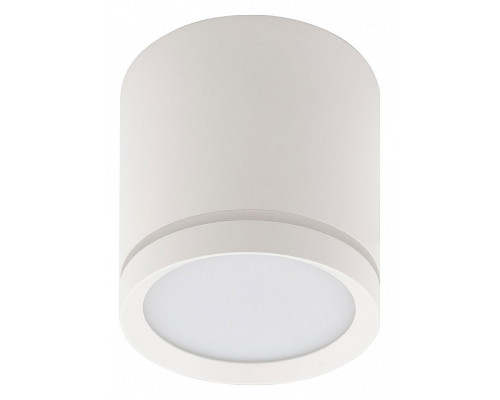 Накладной светильник Denkirs DK401 DK4013-WH Накладной светильник Denkirs DK401 DK4013-WH