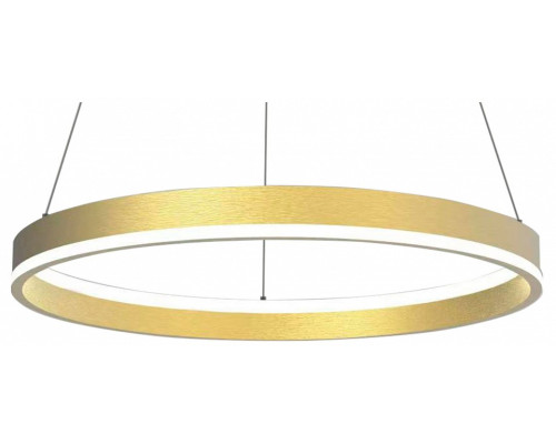 Подвесной светильник Lightstar Rotonda 736402 Подвесной светильник Lightstar Rotonda 736402