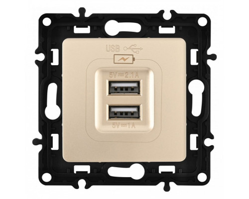 Розетка USB, без рамки Arte Milano am-217 217.46-1.shampan Розетка USB, без рамки Arte Milano am-217 217.46-1.shampan