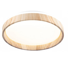 Накладной светильник Citilux ENZO CL753352G