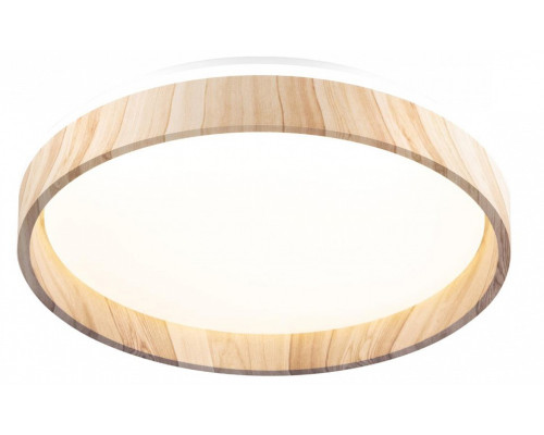 Накладной светильник Citilux ENZO CL753352G Накладной светильник Citilux ENZO CL753352G