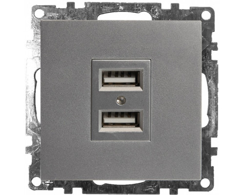 Розетка USB, без рамки Stekker Катрин 39588 Розетка USB, без рамки Stekker Катрин 39588