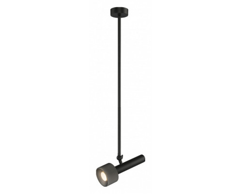 Светильник на штанге iLedex Technical Delta 2361-1 BK+GRP Светильник на штанге iLedex Technical Delta 2361-1 BK+GRP