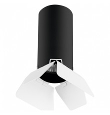 Накладной светильник Lightstar Rullo R487436
