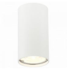 Накладной светильник ST-Luce Simplus ST110.507.01