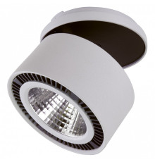 Спот Lightstar Forte Inca 214829