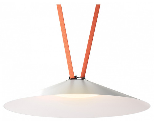 Накладной светильник Denkirs Belty Flow DK5569-WH+BK Накладной светильник Denkirs Belty Flow DK5569-WH+BK