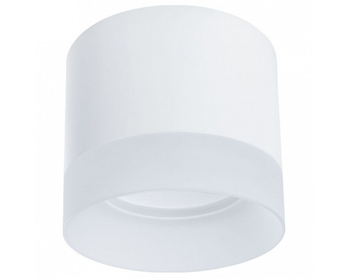 Накладной светильник Arte Lamp Castor A5554PL-1WH Накладной светильник Arte Lamp Castor A5554PL-1WH