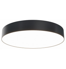 Накладной светильник Maytoni Zon C032CL-L48B3K