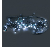 Гирлянда Нить RL-S10CF-220V-CT RL-S10CF-220V-CT/W
