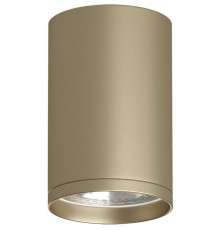 Накладной светильник Denkirs TUBE DK2050-SG