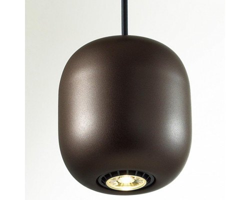 Подвесной светильник Odeon Light Cocoon 5060/1DA Подвесной светильник Odeon Light Cocoon 5060/1DA