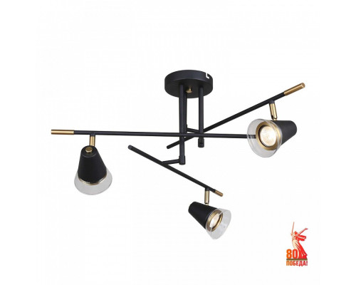 Люстра на штанге F-promo Trandy 4618-3C Люстра на штанге F-promo Trandy 4618-3C