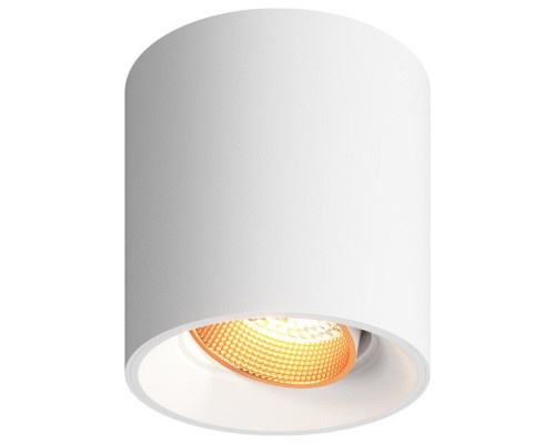 Накладной светильник Denkirs DK3040 DK3090-WBR